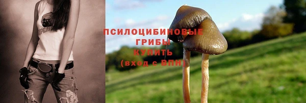 дурь Иннополис