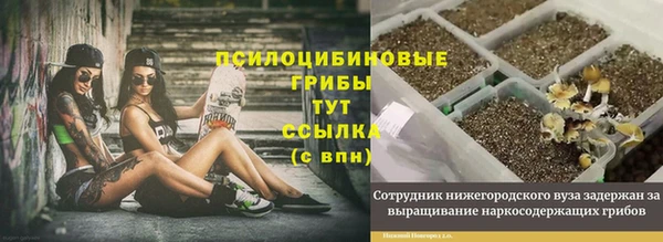 меф Инсар